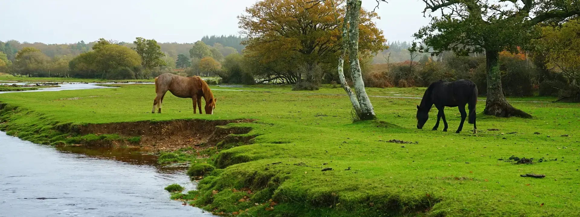 Dorset United Kingdom