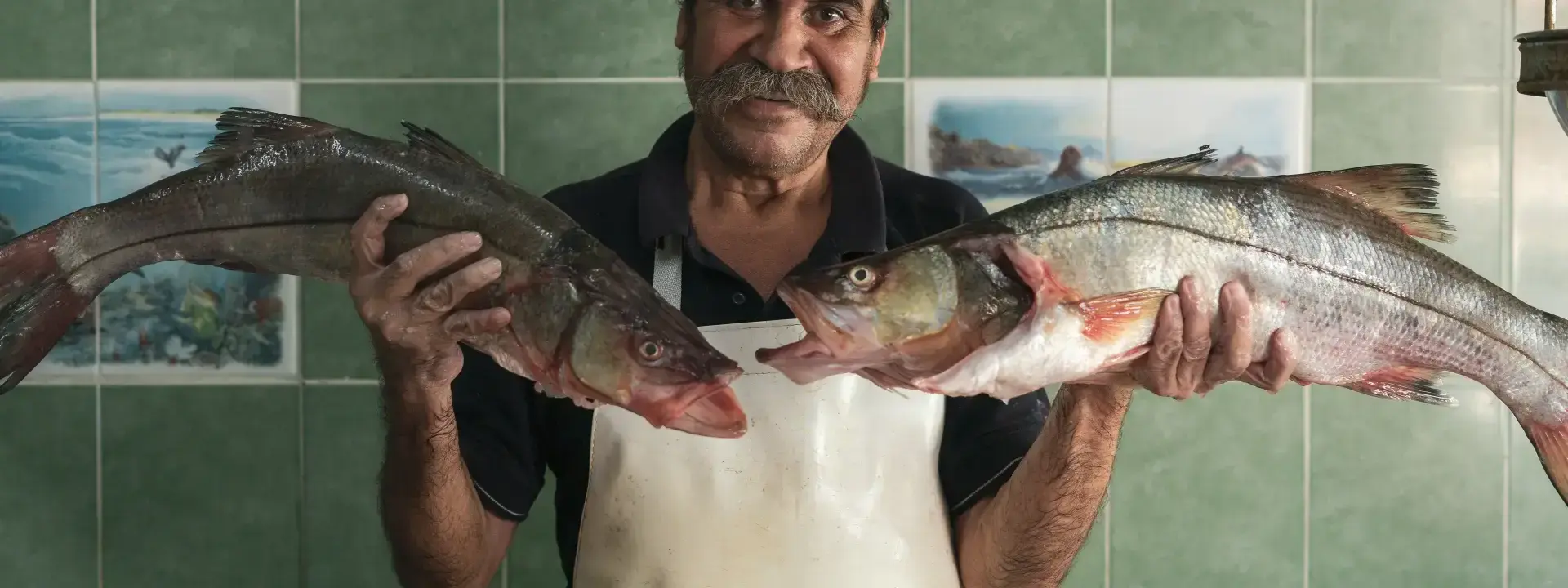 Fishmonger Staff in Czech Republic