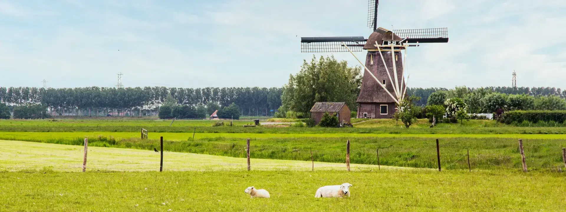 Friesland Netherlands