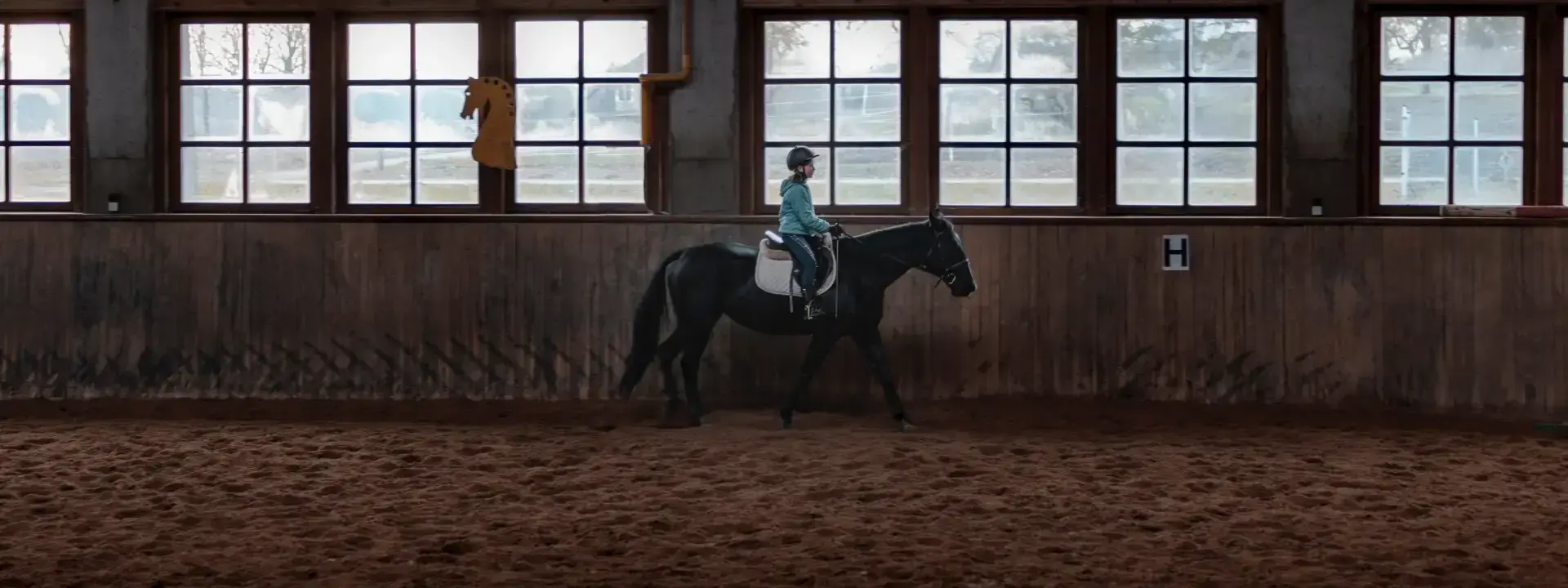 Horse Trainer Staff in Denmark