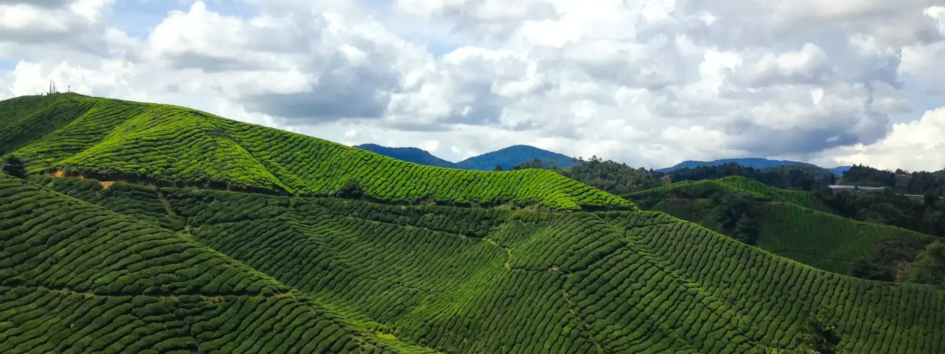 Kelantan Malaysia