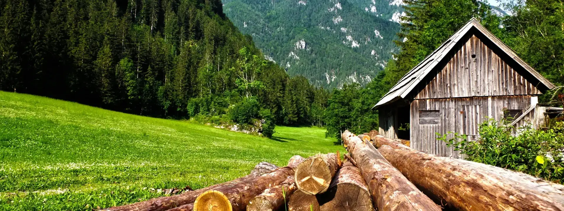 Logging Staff in Austria