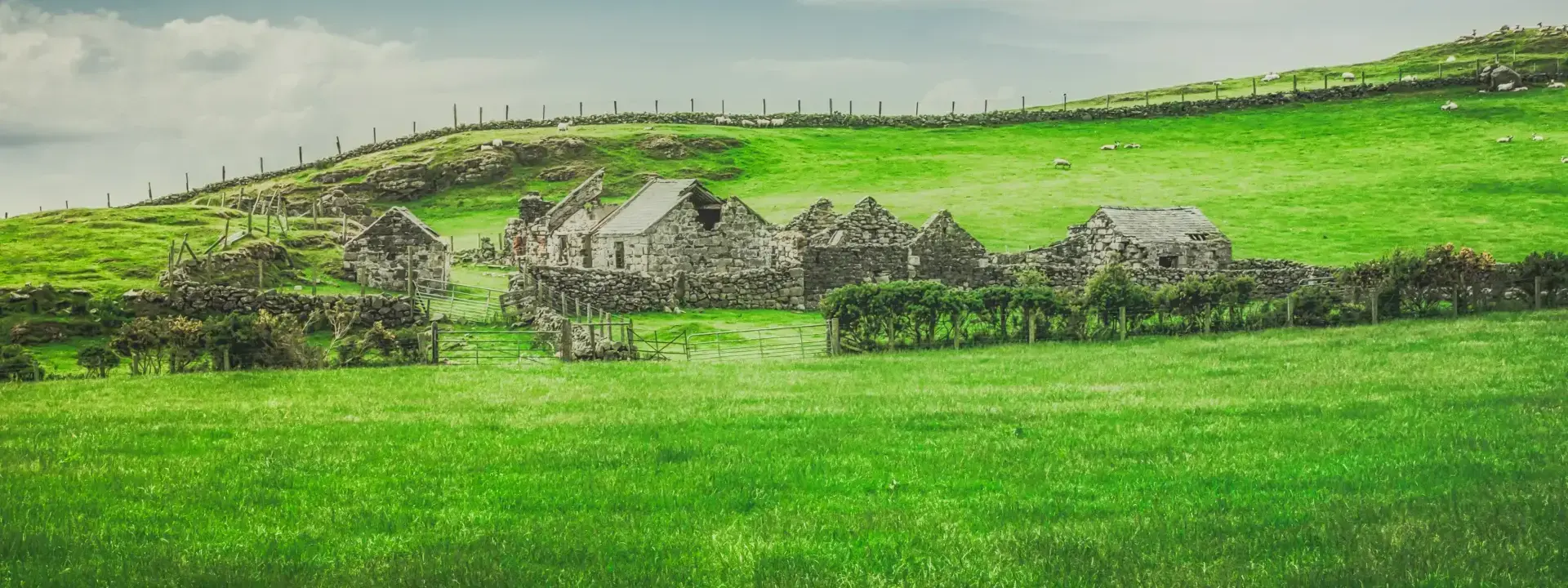 Meath Ireland