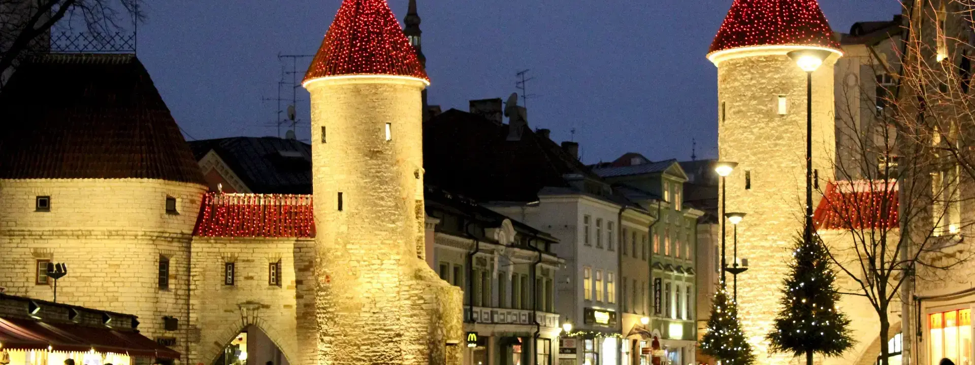 Volunteering in Estonia: A Journey of Giving and Discovery