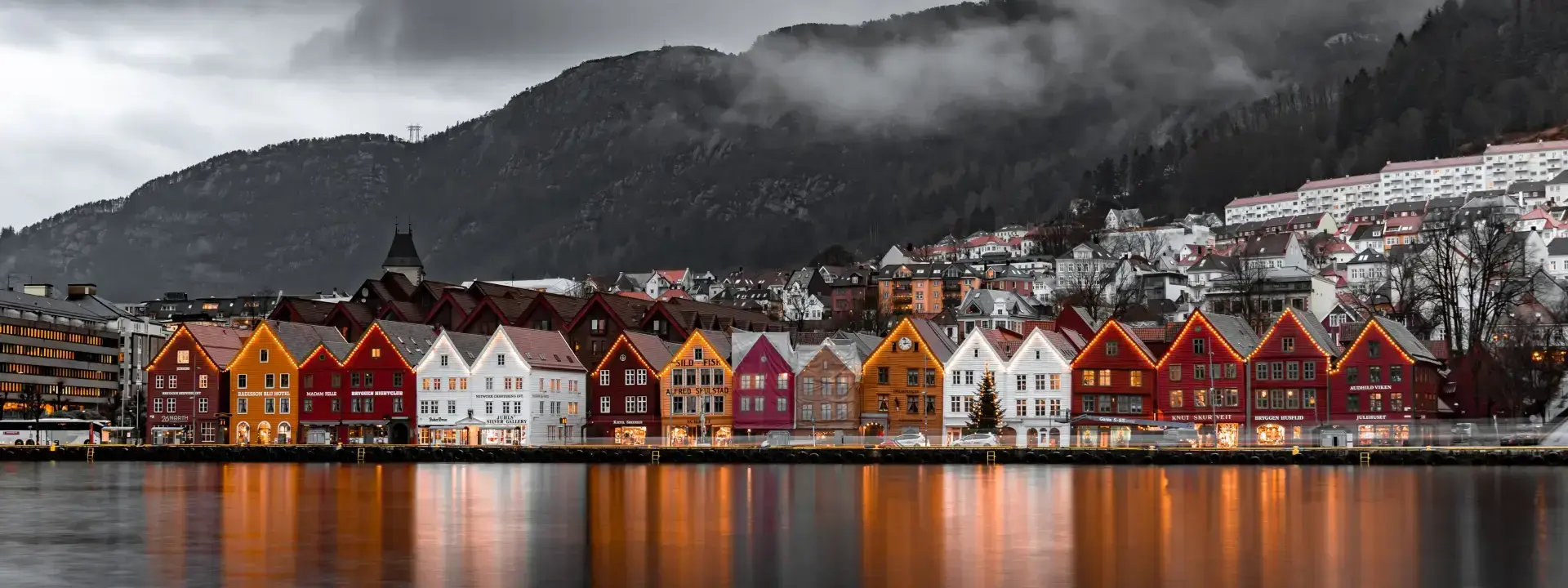 Embracing the Spirit of Giving: Volunteering in Norway