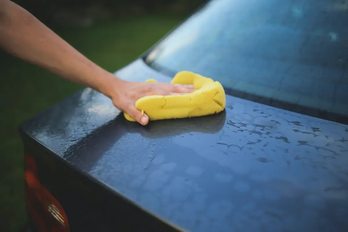 Car Wash Attendant
