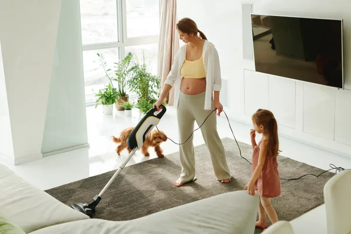 What is a Carpet Cleaner?