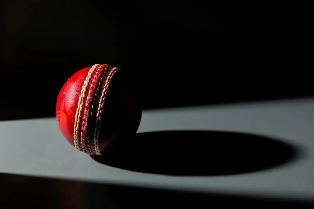 What is a Cricket Coach?