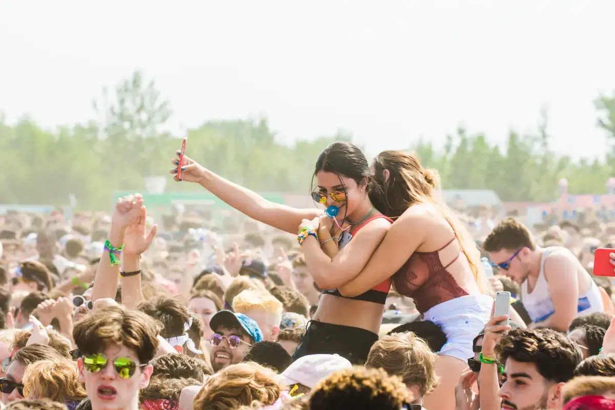 What is a Festival Organizer?