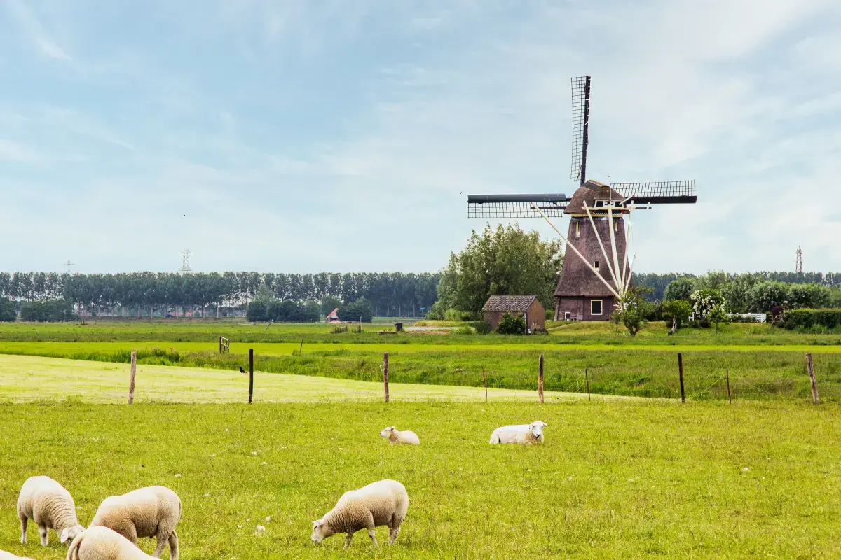 Friesland Netherlands