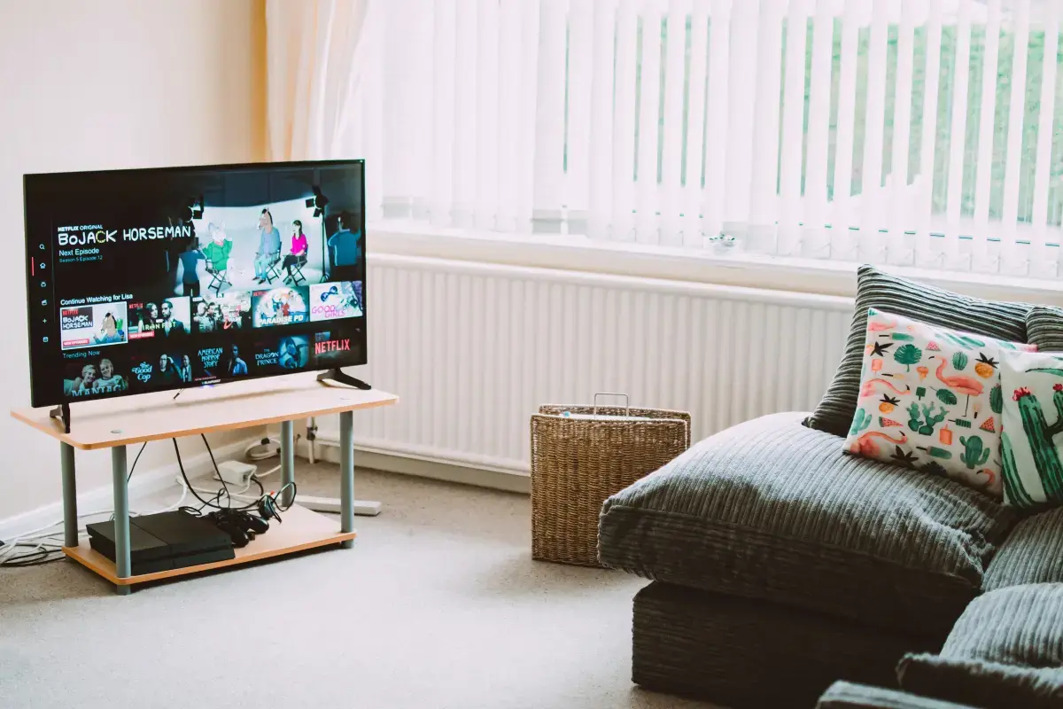 What is a Home Entertainment Services?