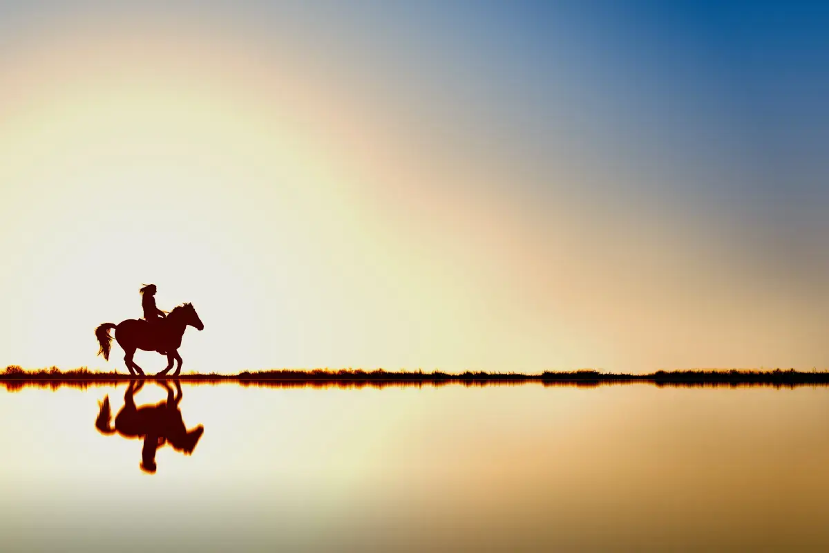 Horse Trainer in United Arab Emirates