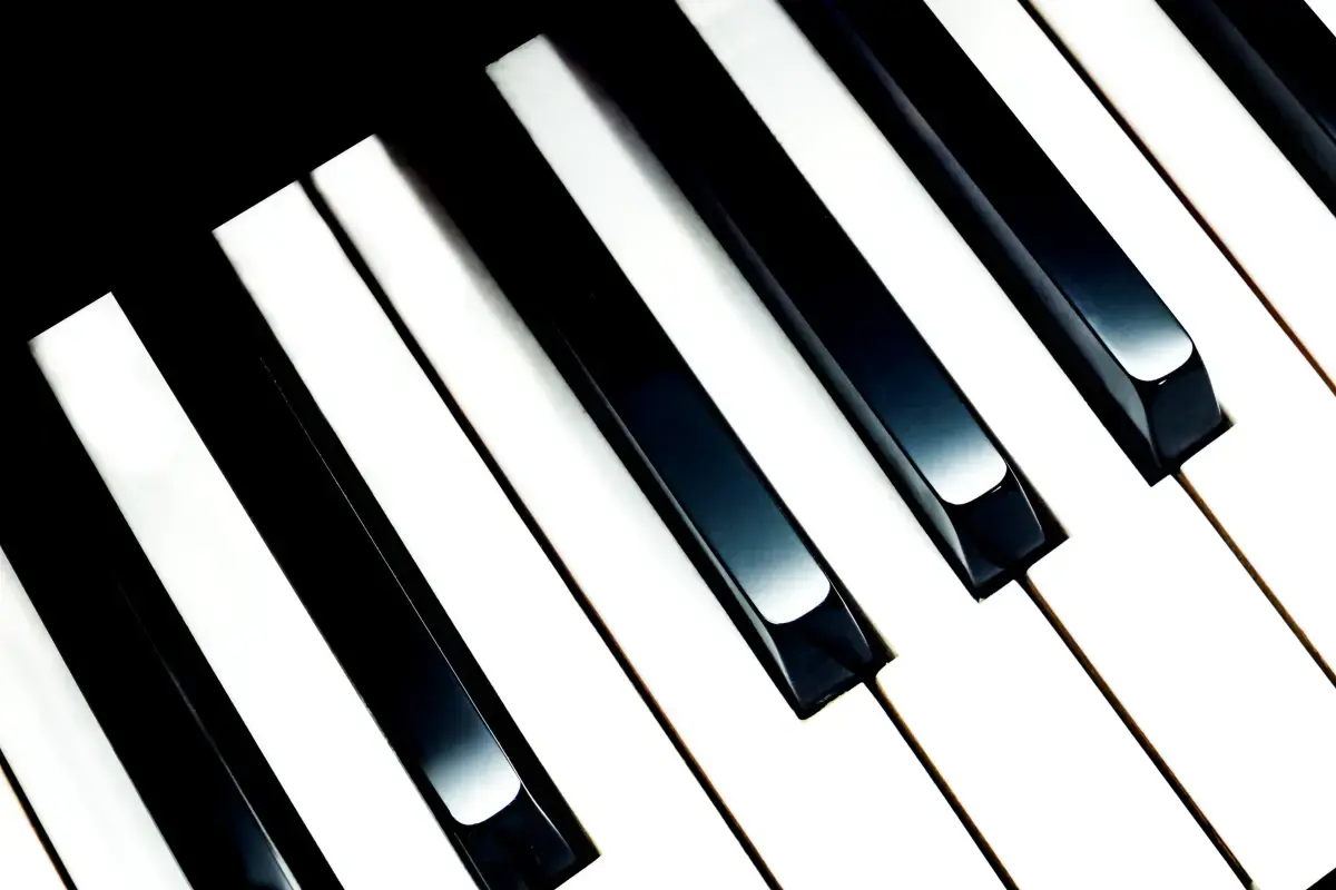 What is a Piano Tuner?