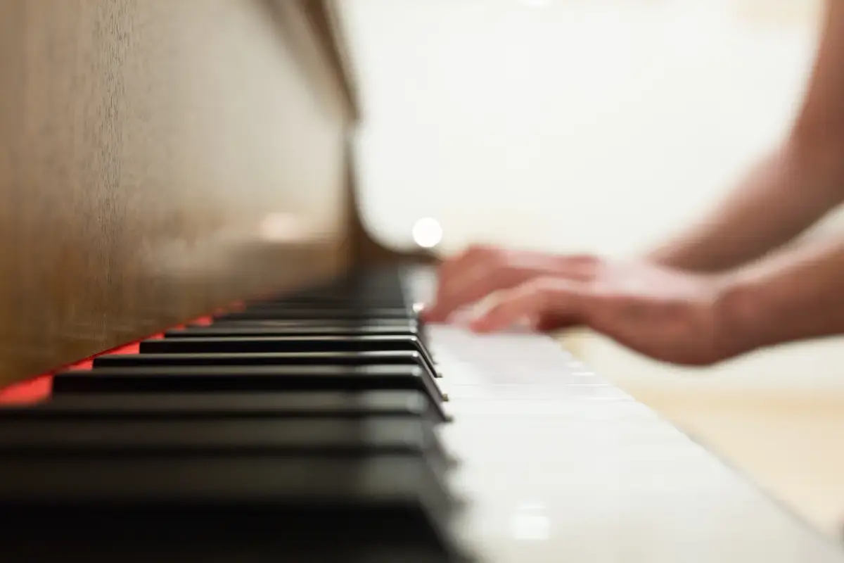 What is a Piano Tuner?