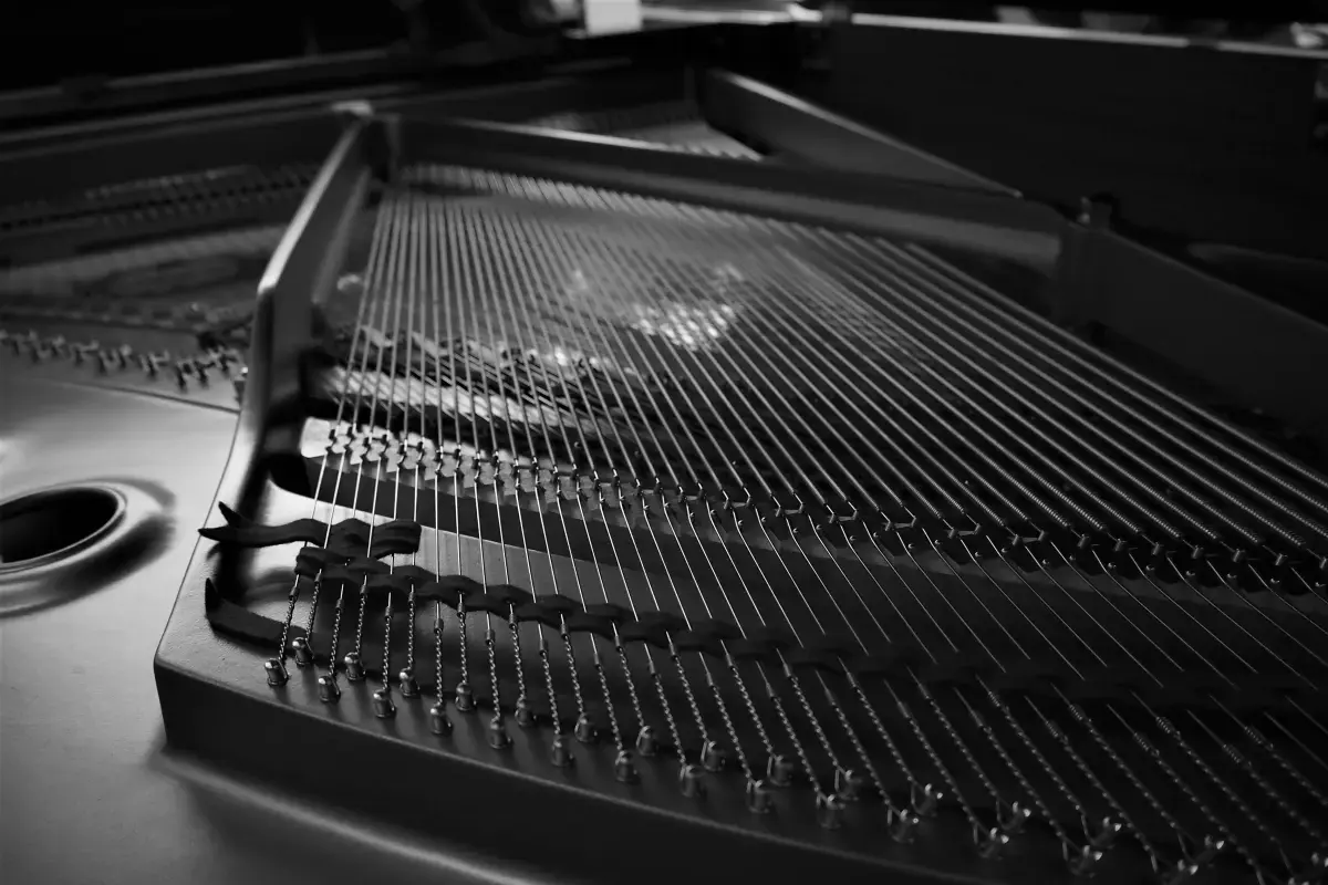 What is an expert Piano Tuner?