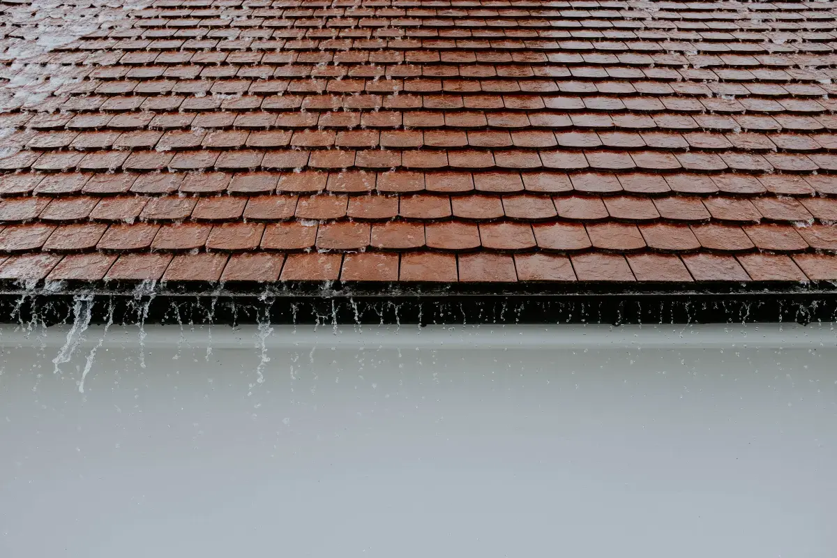 What is an expert Roofer?