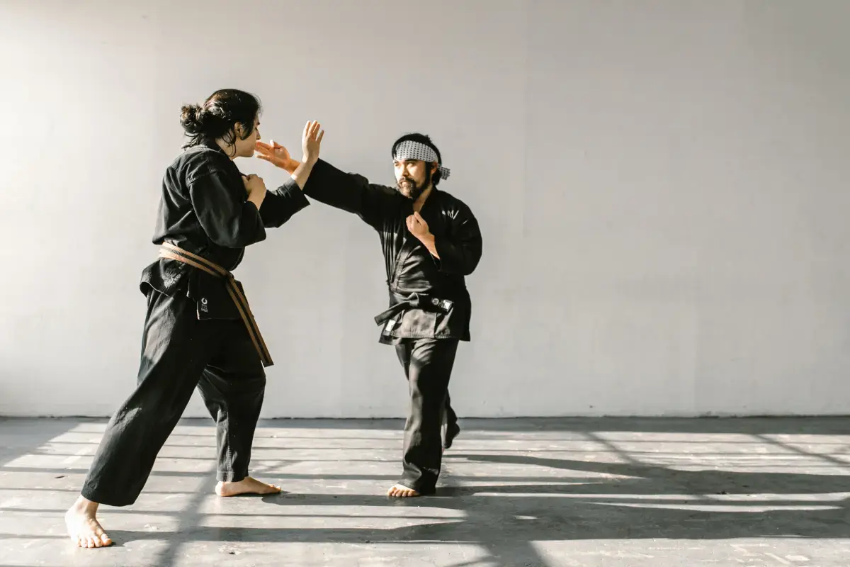 What is a Self Defence Instructor?
