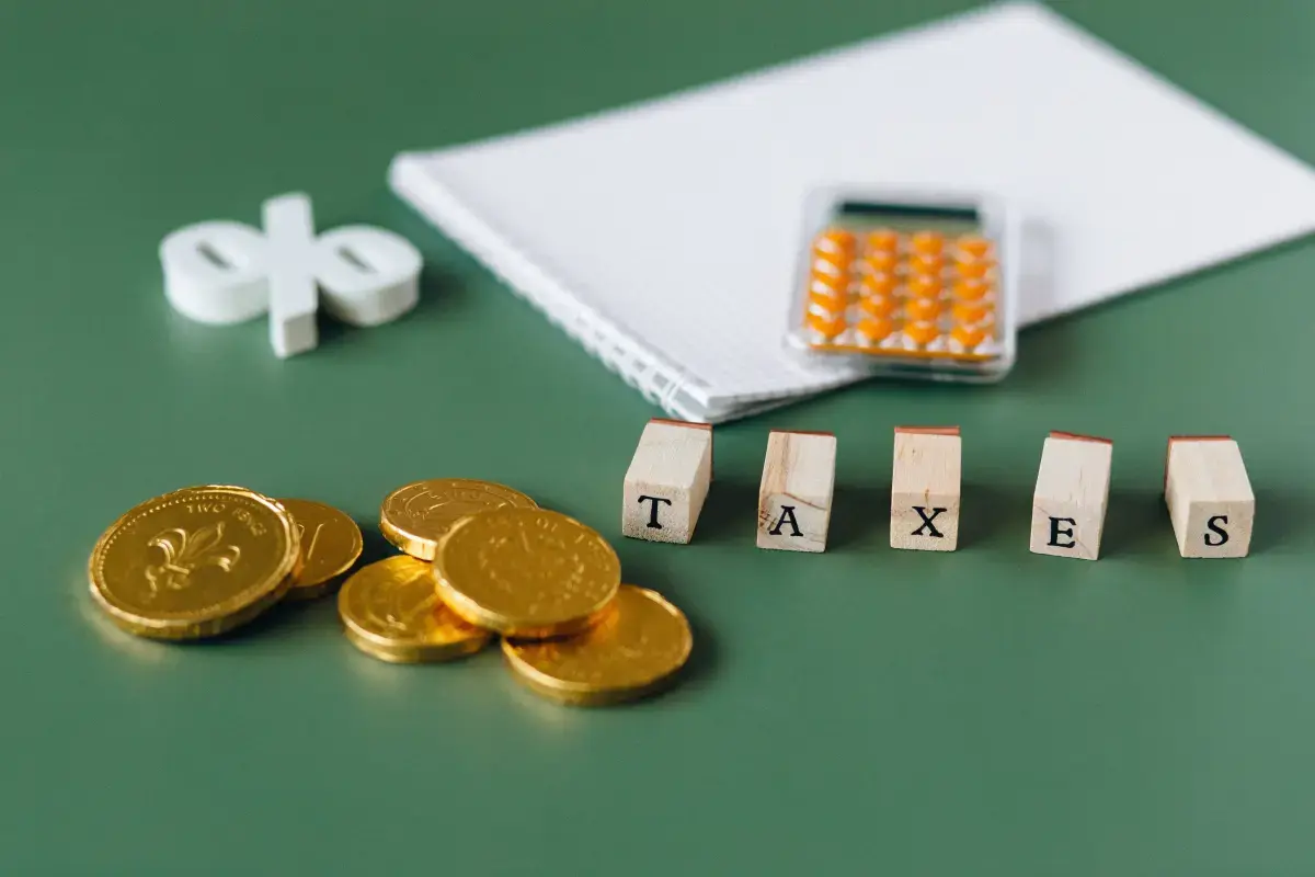 Small Business Tax 101: Navigating the Maze of Taxation Image2