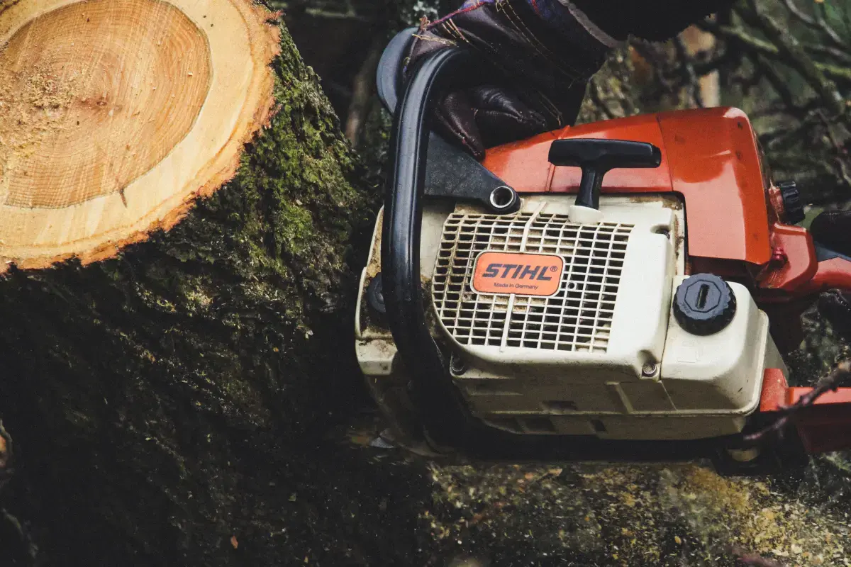 What is an expert Tree Services?