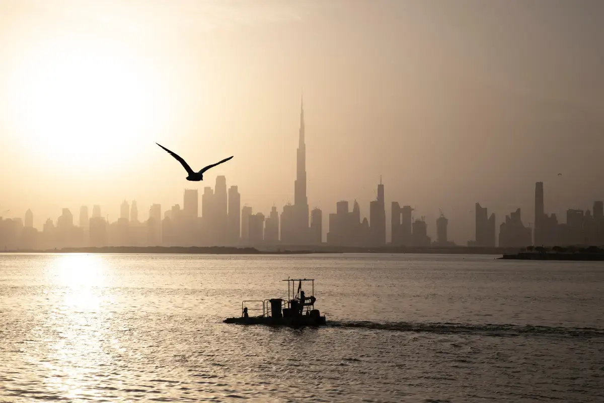 تقرير سوق العمل في الإمارات 2024 Image10