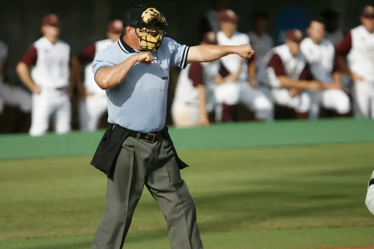 What is a Umpire?