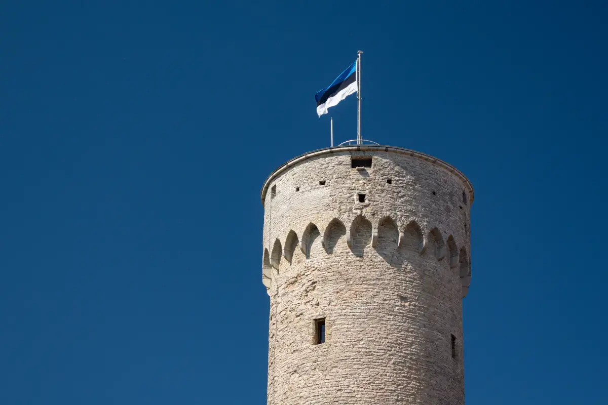 Volunteering in Estonia: A Journey of Giving and Discovery Image1