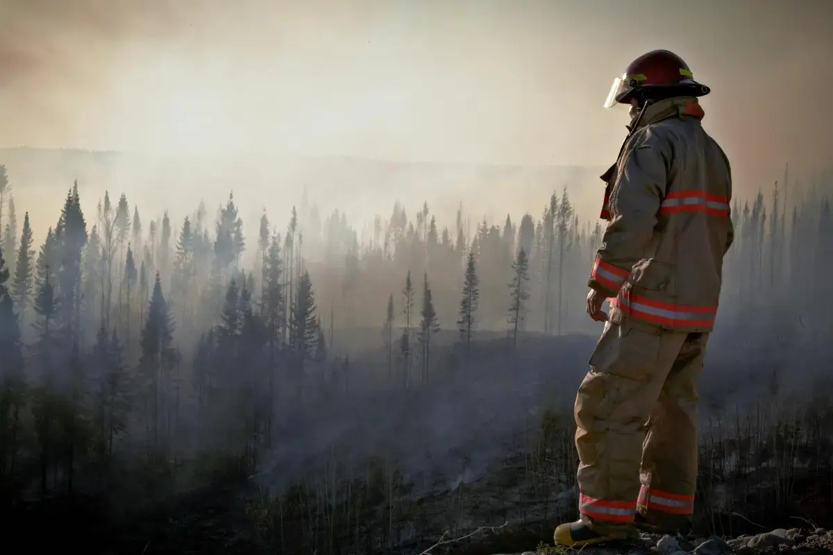 The Unsung Heroes: A Deep Dive into the World of Volunteer Firefighters Image1