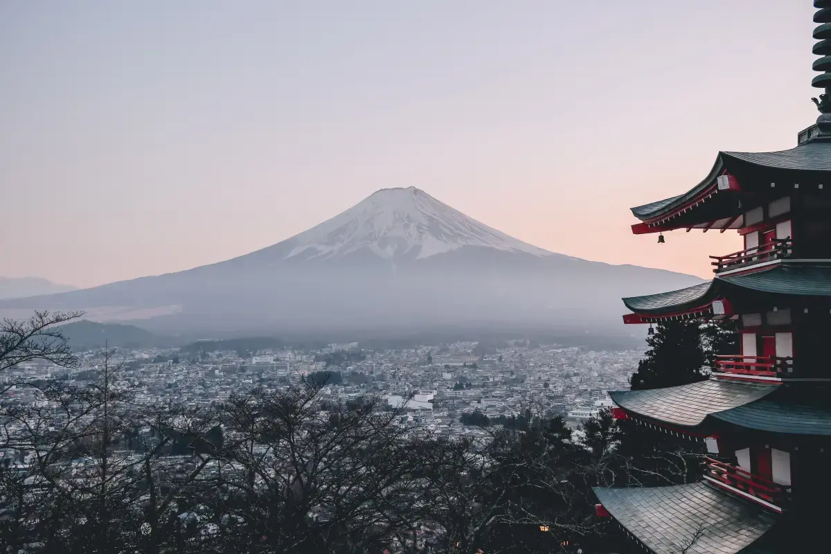 Volunteering in Japan: A Journey of Harmony and Giving Image1