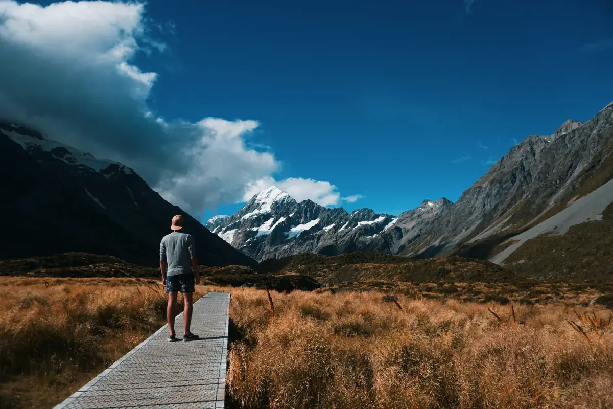 Volunteering in New Zealand: A Journey of Giving Back and Exploring the Unique Kiwi Spirit Image2