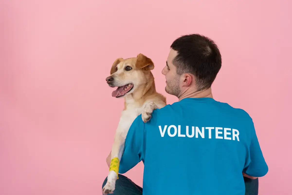 Find Volunteer jobs