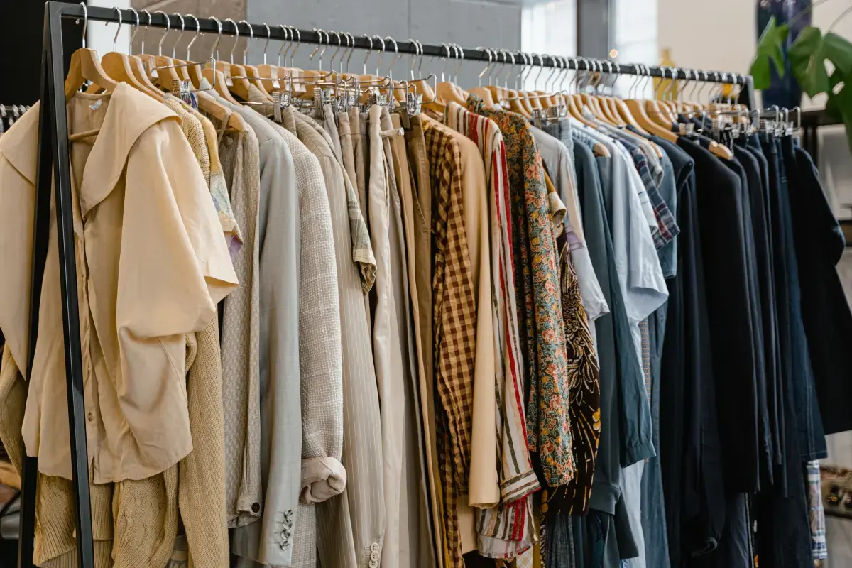 What is an expert Wardrobe Assistant?